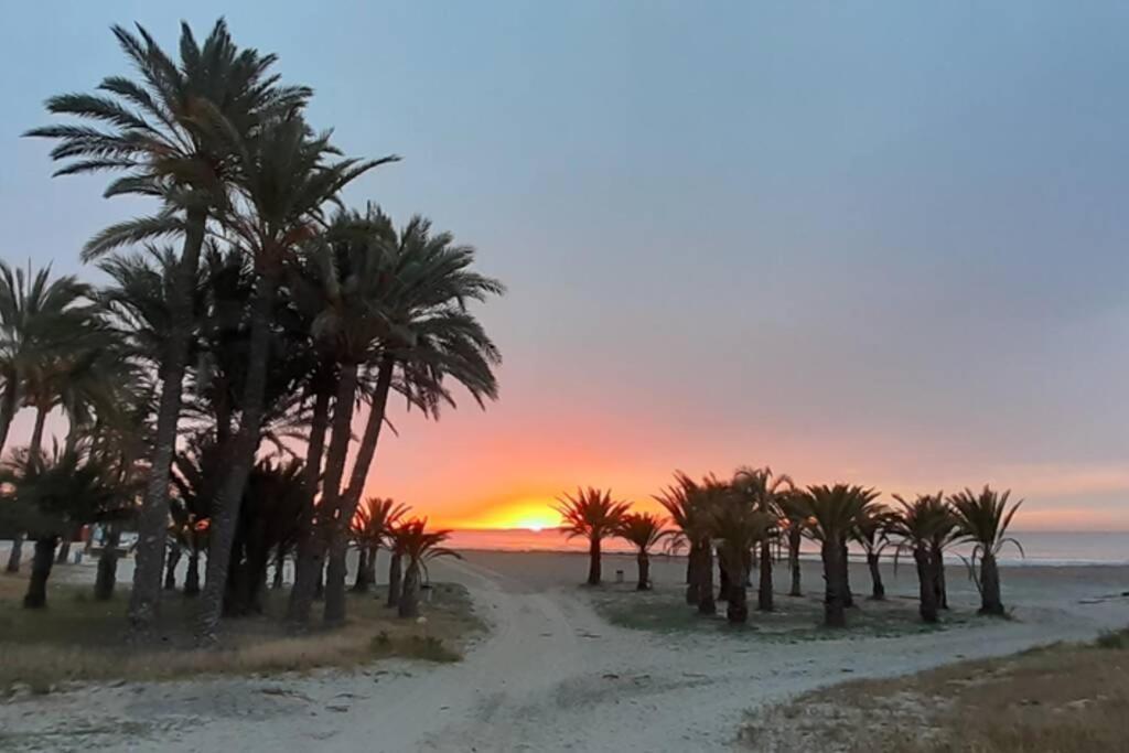 Descansar, Sonreir, Sentir. Paraiso Frente Al Mar Santa Pola Exteriör bild
